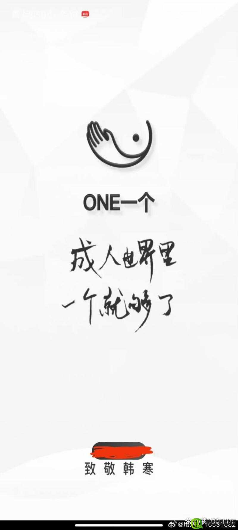 one.yg99.aqq 一个致敬韩寒：关于致敬韩寒的深入探讨与思考