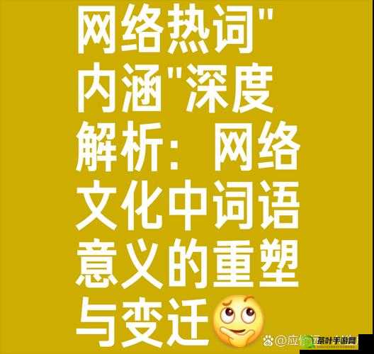 华人内射相关话题探讨：深入剖析其内涵与意义