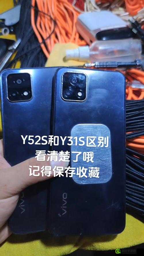 一级成色好的 y31s 标准版测评：全方位详细解读与分析